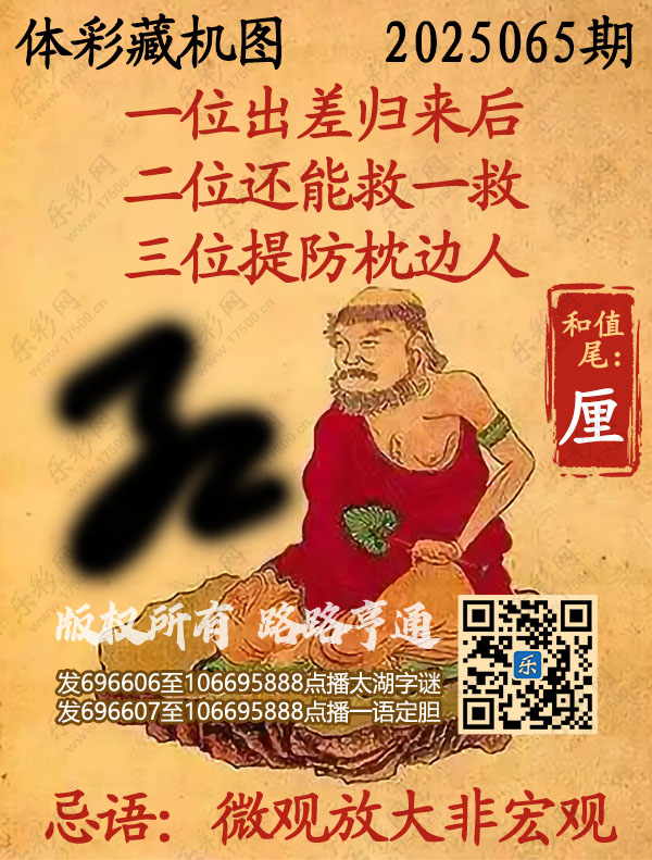 排列3第2025065期乐彩网《正版保真藏机图》图谜